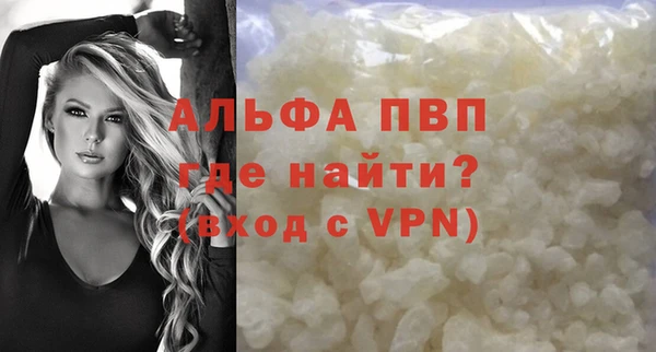 ПСИЛОЦИБИНОВЫЕ ГРИБЫ Заводоуковск