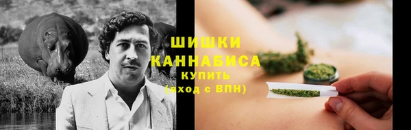 ПСИЛОЦИБИНОВЫЕ ГРИБЫ Заводоуковск
