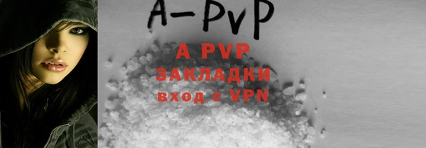 ПСИЛОЦИБИНОВЫЕ ГРИБЫ Заводоуковск