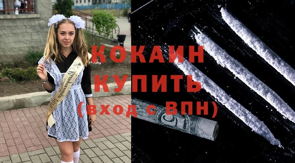ПСИЛОЦИБИНОВЫЕ ГРИБЫ Заводоуковск