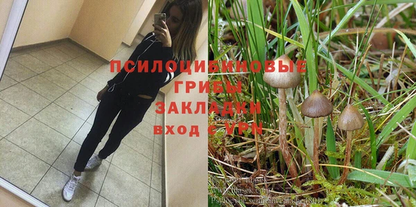спиды Заволжск
