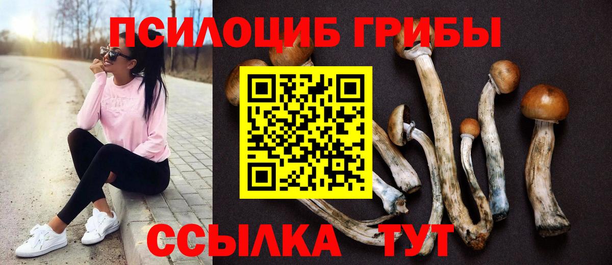 Псилоцибиновые грибы Psilocybine cubensis  Вход с VPN  Сланцы 